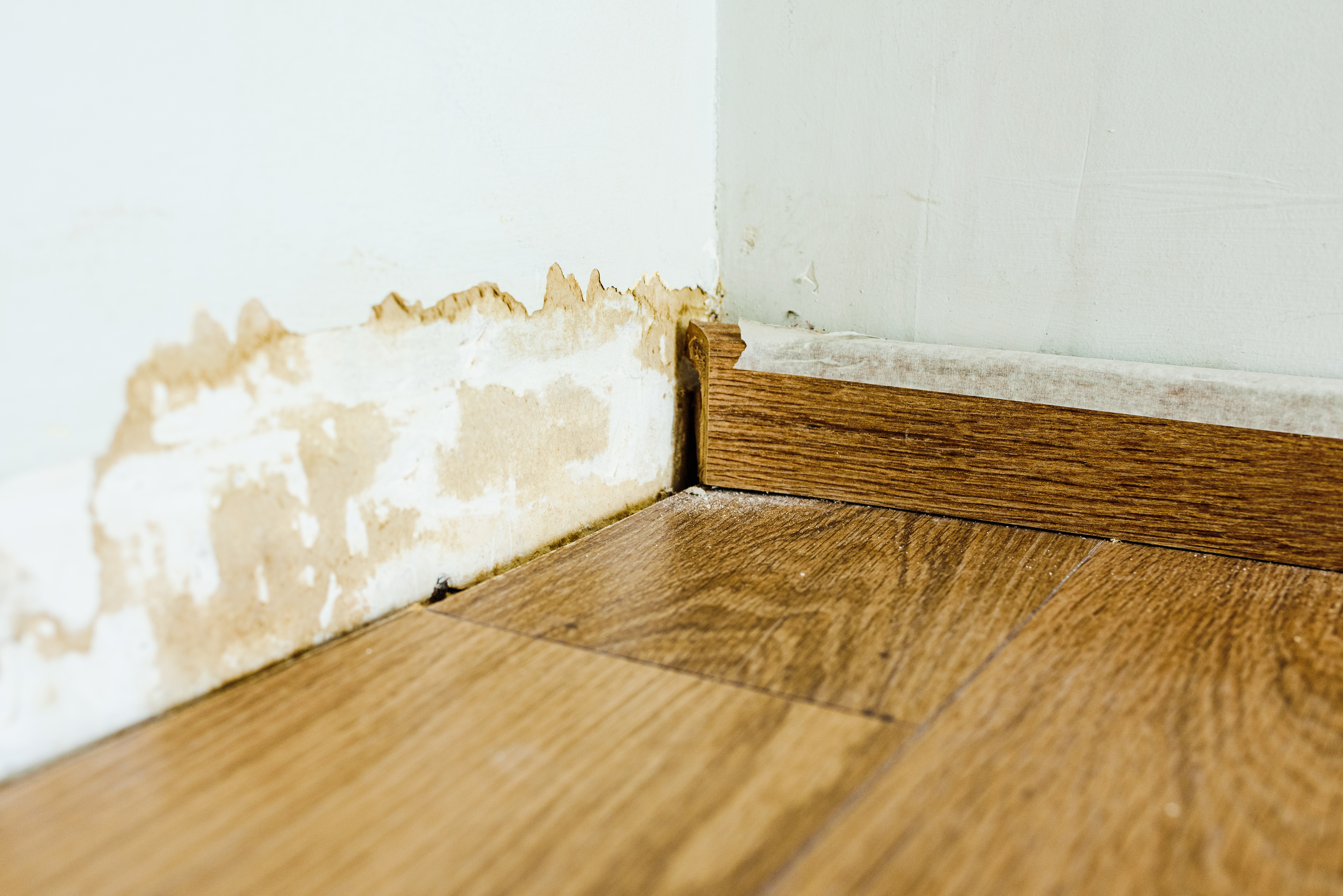 Baseboard stripping skirting board on a wall damaged by mold 2023 11 27 05 04 24 utc
