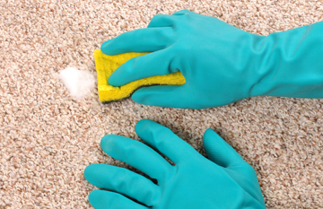 Carpet Cleaning 2
