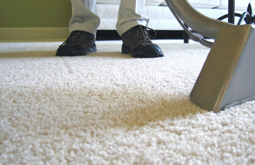 Carpet Cleaning 3

