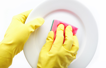 Dish Cleaning 1
