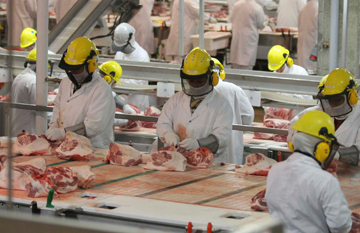 Meat Processing
